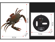 � ����.����