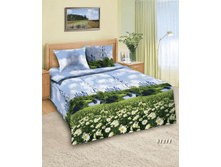 �������� ������� ������������ 81211.png