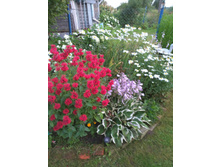 IMG 20170811 194949.jpg