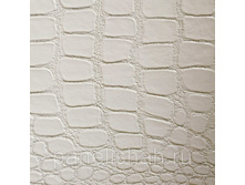 275735463 w800 h640 albinos.jpg