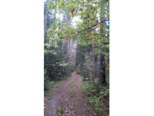 IMG 20170930 110234.jpg