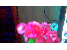 ������� ������������� ��������