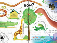 Create spread animals.jpeg