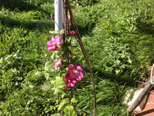 �������� "���� �� ����"