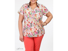 ������ 2604202-55.jpg