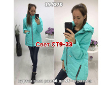 225.jpg--------------170