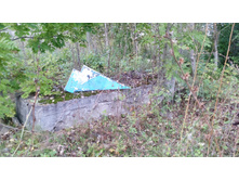 IMG 20170924 130844.jpg