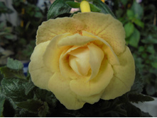 DSC04777.JPG