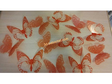 ���������� �������.jpg