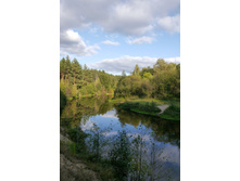 2017.09.24 15-29-28 (P1700247).JPG