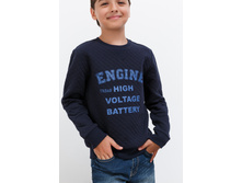 21110100007   Hawkins   �����.jpg