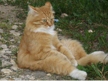 ��������� � ������ ...