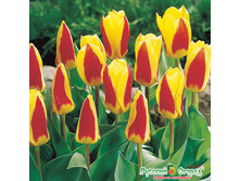 ������� ������ ���. ����.jpeg