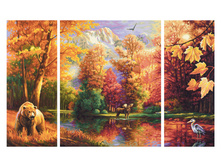 ������� �����, 50�80 ��, 1/6