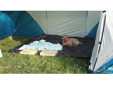 IMG 20170913 155248.jpg