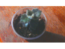 �������� ��������� ����