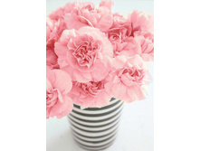 ������ 27�38 Ag 279.jpg