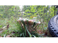 IMG 20170910 153805.jpg