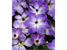 �������� ��������������� ���������� (V2�.).jpeg