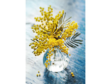 ������ 27�38 Ag 283.jpg