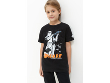 20110110076   Weipa   ������.jpg