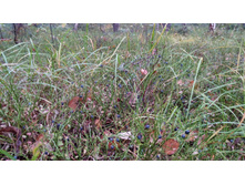 IMG 20170930 122312.jpg