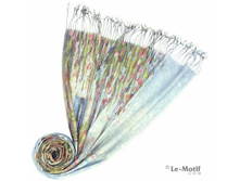 �������� “������� ����”.jpg = 810 ���