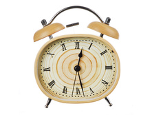 337,5 ���. - ��������� ����������� � ����������, ��� ������ ��������, ������, ������, 14�12,5�5,5��, 2���