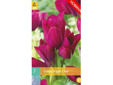 304.785, Tulipa Night Club, 7 �� � ��������, 277���+18%, 1��.jpg