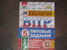 ����� �� �������� 5 ��