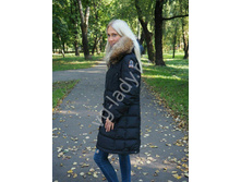 ������ -����� ParaJumpers, 17020.jpg