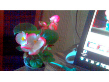 ������� �������������