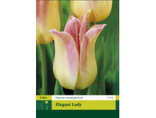 ������� ������� ���� elegant lady 3��, 97���+18%, 1��