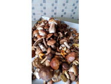 IMG 20170916 163355.jpg