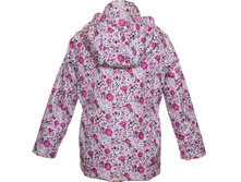 ���. ����