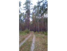 IMG 20170930 122555.jpg