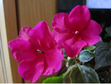 ������� 002.jpg