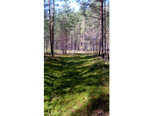 IMG 20170901 111723.jpg