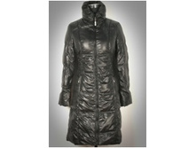 ������ MODIS 146�� (����140) XXS.jpg