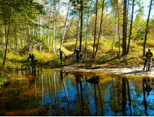 P 20170923 110127 HDR.jpg