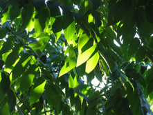 ������������ ����