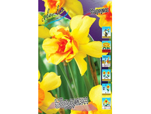 48,74���. ������� ������(�������� ���� �� 5 ��., ����������� ����� 1��.)���16 �������� 1 ��..jpg