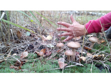 IMG 20170916 114731.jpg