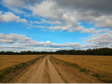 P 20170924 141112.jpg