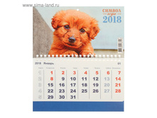 ��������� �����������, ���� "������ ���� - 2018 ���" 20�24�� 14,9��� �� 12��