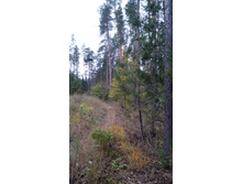 IMG 20170930 103949.jpg