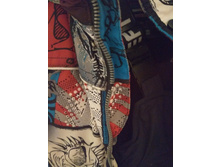 IMG 20170919 203429.jpg