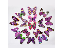 ������������ 8 ������.jpg