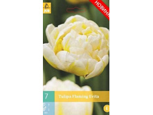 304 080, Tulipa Flaming Evita, 7 �� � ��������, 241���+18%, 1��.jpg