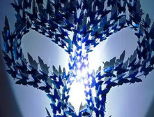 1b96a6 3191b283ec3d4028b11c66a0b770263a~mv2.jpg